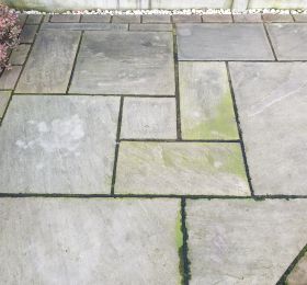 Indian sandstone before having a soft wash treatment applied in Ilkeston: Click Here To View Larger Image